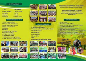 ppdb2
